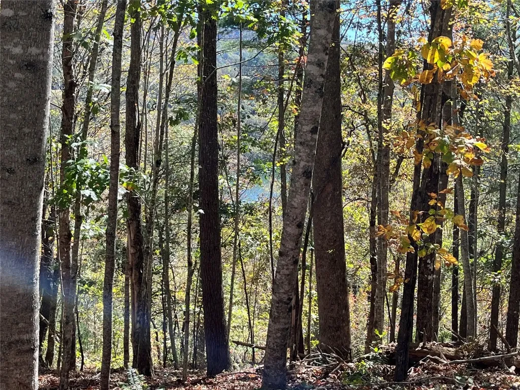 Lot #4 Rendezvous Ridge Road Cashiers NC 27265