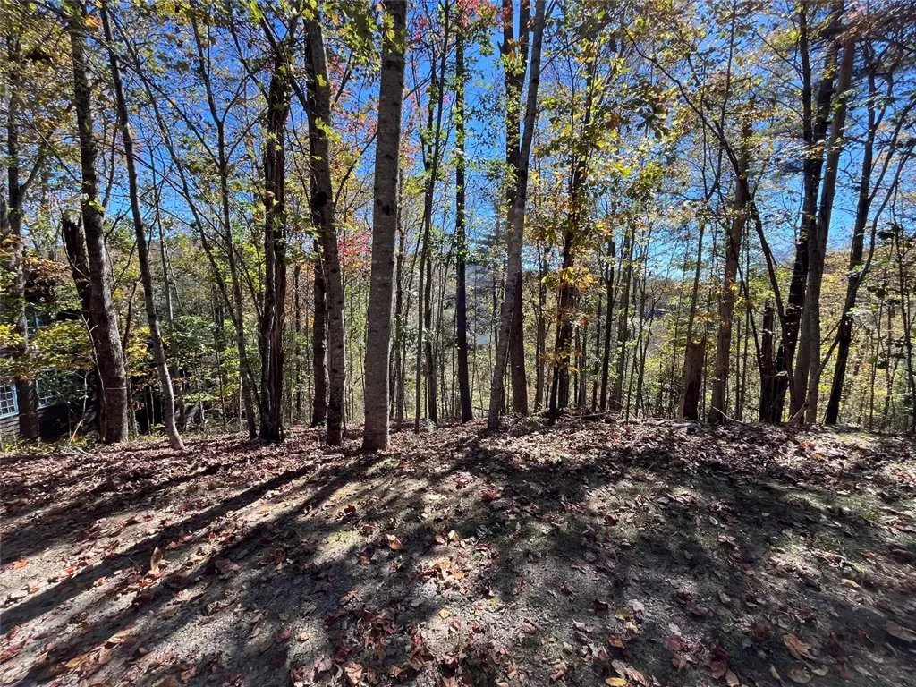 Lot #4 Rendezvous Ridge Road Cashiers NC 27265