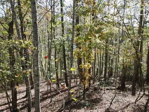 Lot #4 Rendezvous Ridge Road Cashiers NC 27265
