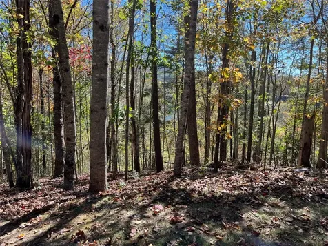 Lot #4 Rendezvous Ridge Road Cashiers NC 27265