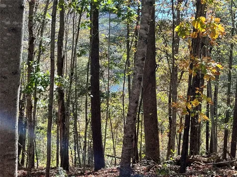 Lot #4 Rendezvous Ridge Road Cashiers NC 27265