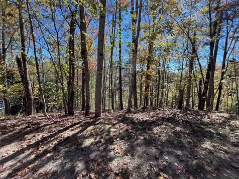 Lot #4 Rendezvous Ridge Road Cashiers NC 27265