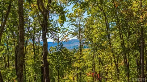 Lot 89 Black Oak Drive Sapphire NC 28774