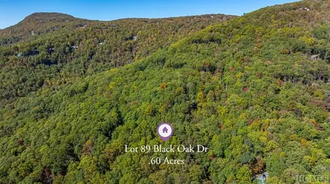 Lot 89 Black Oak Drive Sapphire NC 28774