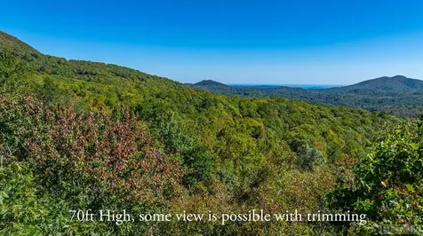 Lot 89 Black Oak Drive Sapphire NC 28774