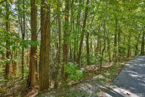 Lot 89 Black Oak Drive Sapphire NC 28774