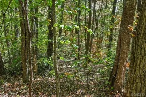 Lot 89 Black Oak Drive Sapphire NC 28774