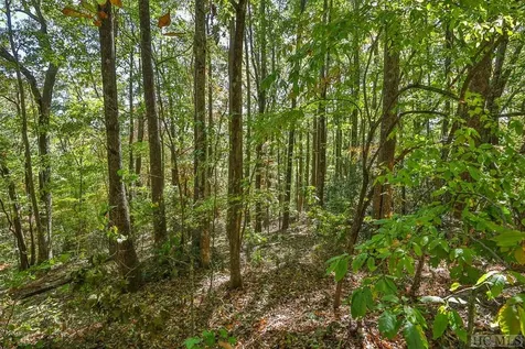 Lot 89 Black Oak Drive Sapphire NC 28774