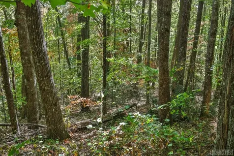 Lot 89 Black Oak Drive Sapphire NC 28774