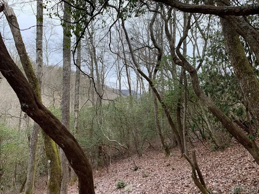 D-6 Boathouse Row Sapphire NC 28774