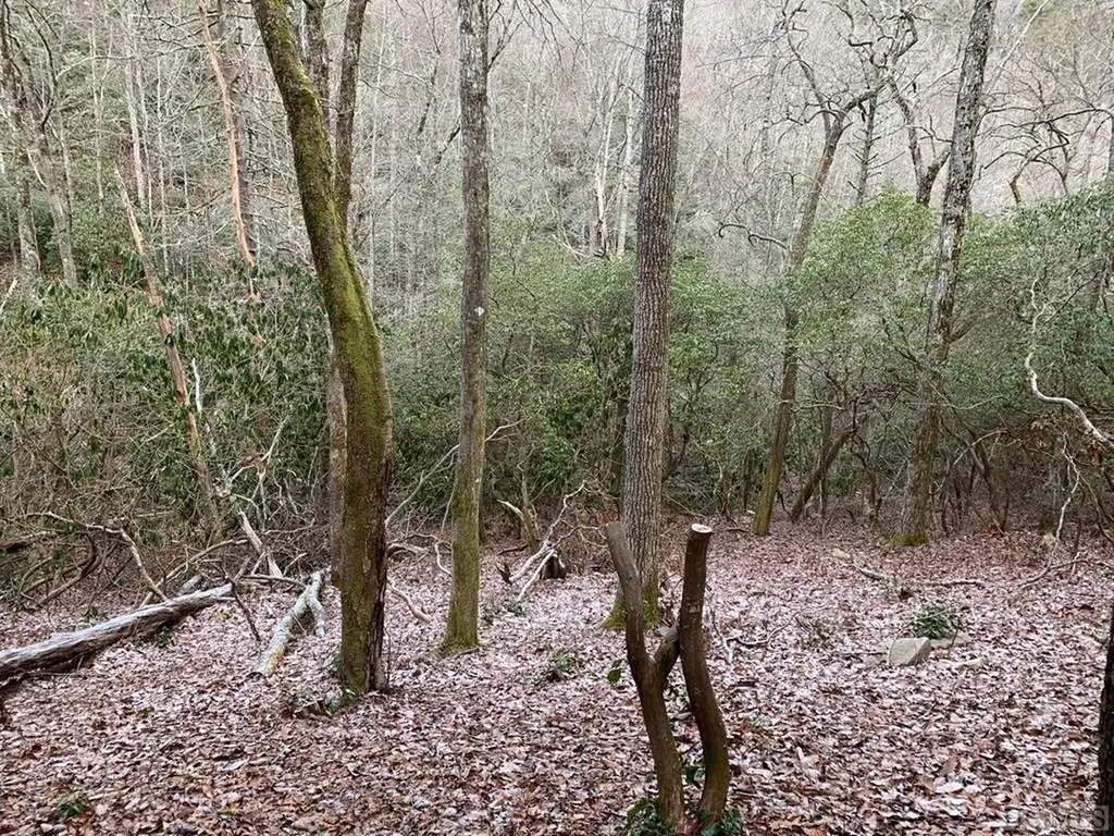 D-6 Boathouse Row Sapphire NC 28774