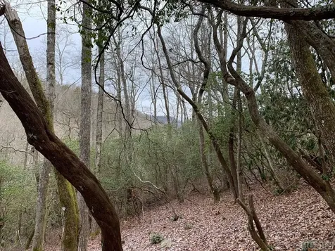 D-6 Boathouse Row Sapphire NC 28774