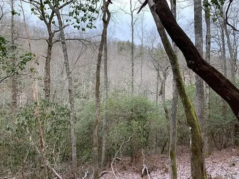 D-6 Boathouse Row Sapphire NC 28774