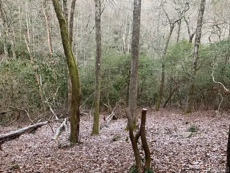 D-6 Boathouse Row Sapphire NC 28774