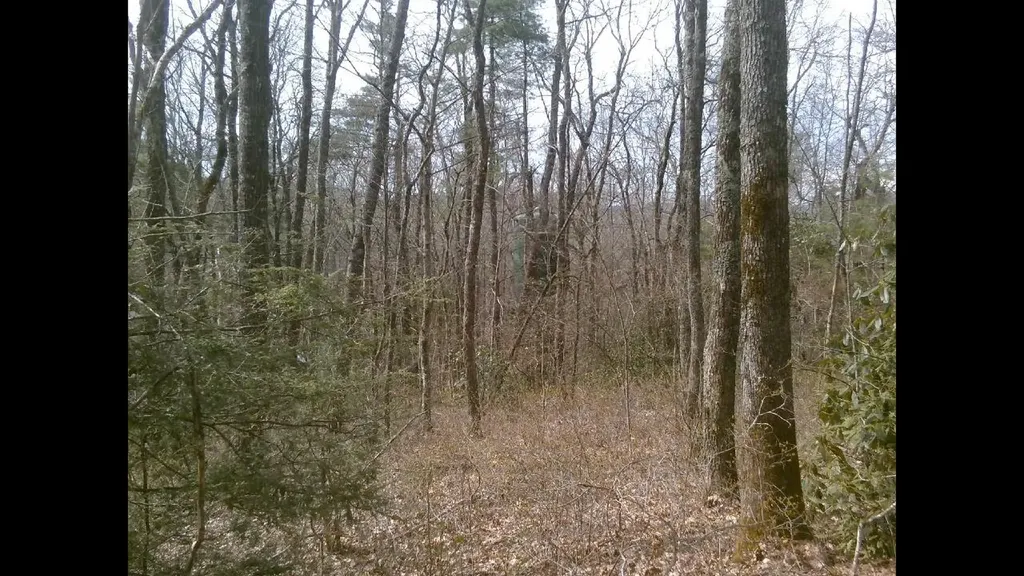 0 Cowee Mount Highlands NC 28741