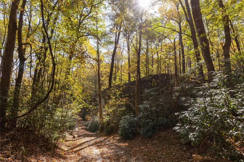 B15B Twin Lakes Drive Cashiers NC 28717