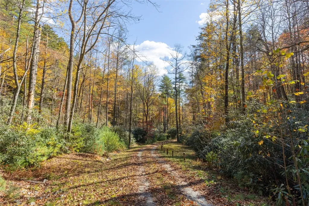 B15B Twin Lakes Drive Cashiers NC 28717