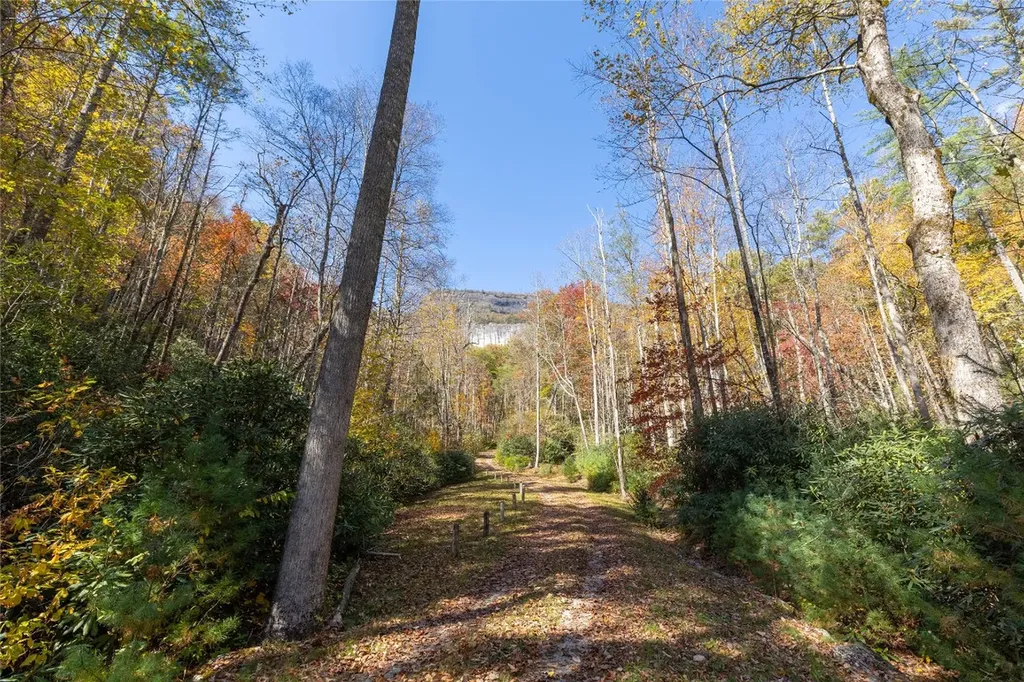 B15B Twin Lakes Drive Cashiers NC 28717