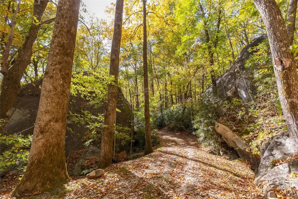 B15B Twin Lakes Drive Cashiers NC 28717