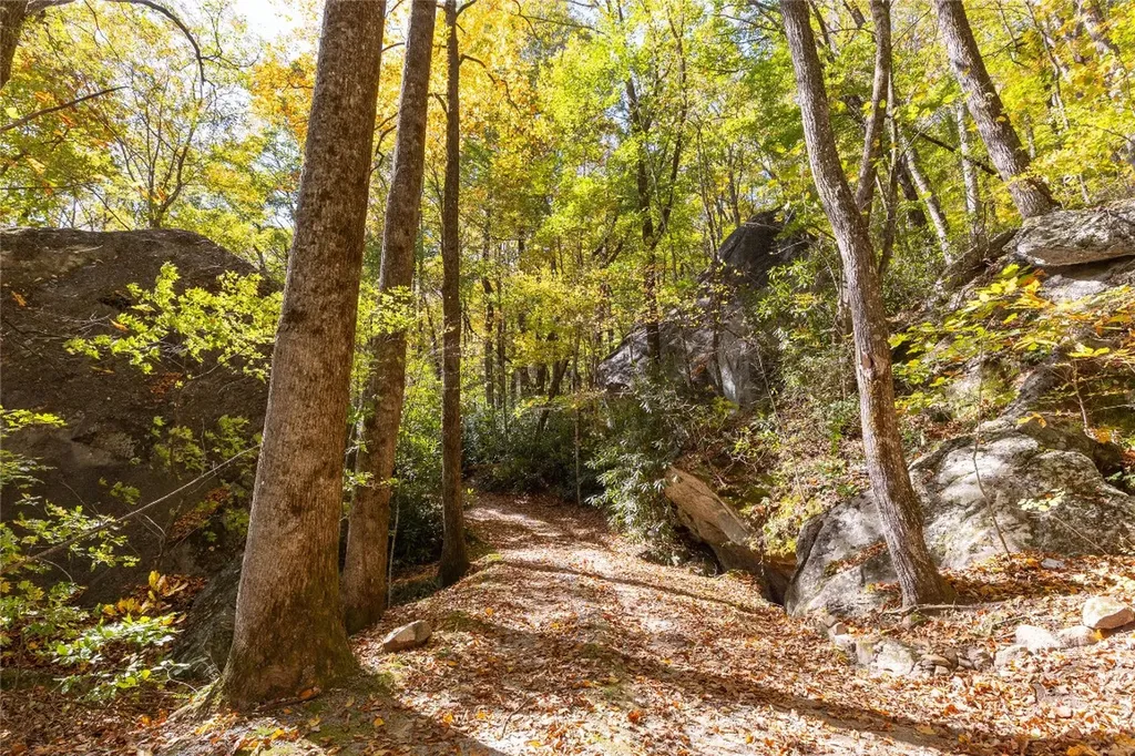 B15B Twin Lakes Drive Cashiers NC 28717