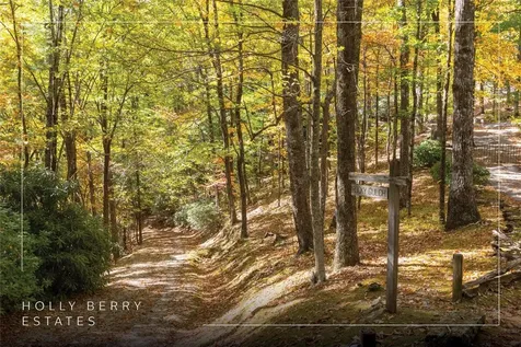 B15B Twin Lakes Drive Cashiers NC 28717