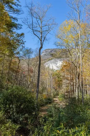 B15B Twin Lakes Drive Cashiers NC 28717