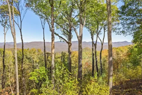 1505 Rye Mountain Drive Glenville NC 28736