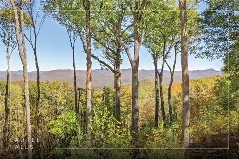 1505 Rye Mountain Drive Glenville NC 28736