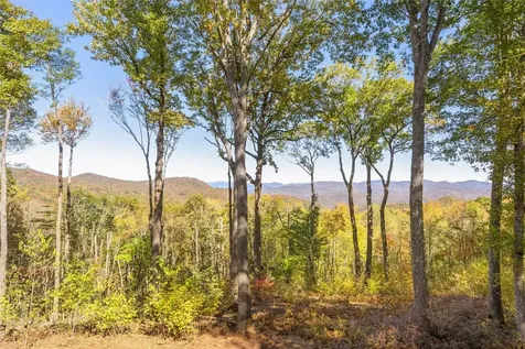 1505 Rye Mountain Drive Glenville NC 28736