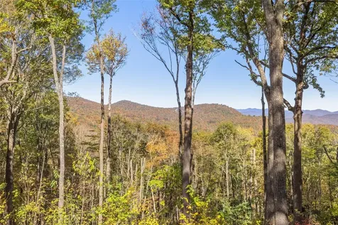 1505 Rye Mountain Drive Glenville NC 28736