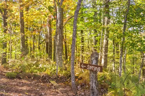 1505 Rye Mountain Drive Glenville NC 28736