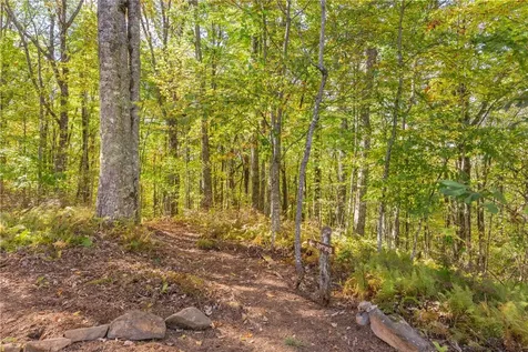 1505 Rye Mountain Drive Glenville NC 28736