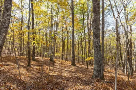 1505 Rye Mountain Drive Glenville NC 28736