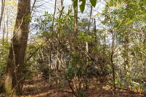 1505 Rye Mountain Drive Glenville NC 28736