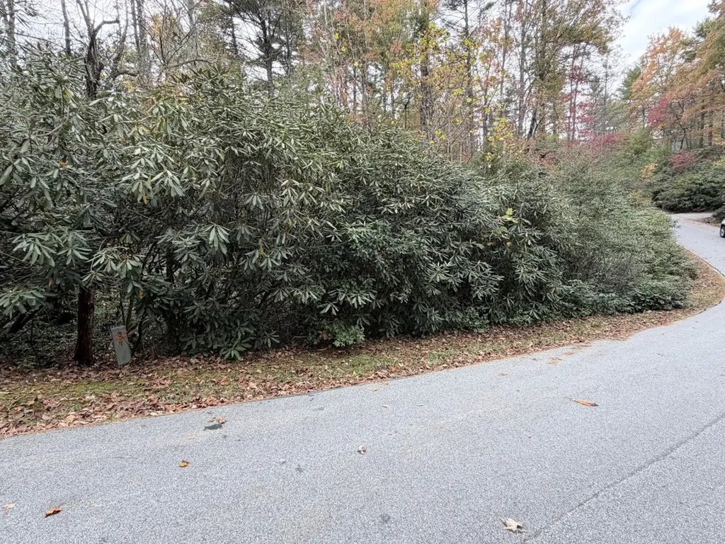 196 Wild Berry Sapphire NC 28774