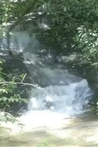 196 Wild Berry Sapphire NC 28774