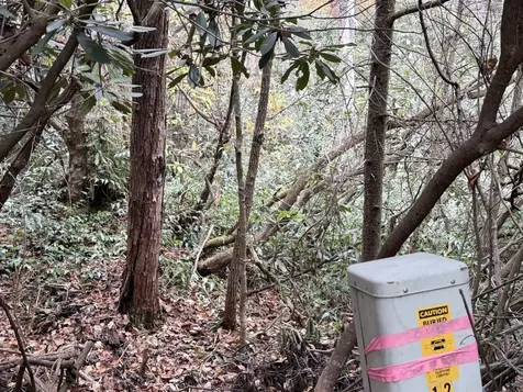 196 Wild Berry Sapphire NC 28774