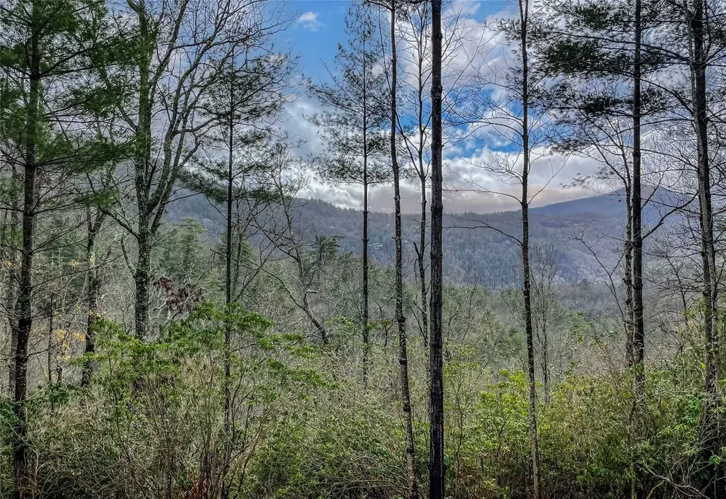 159 Saratay Falls Drive Cashiers NC 28717