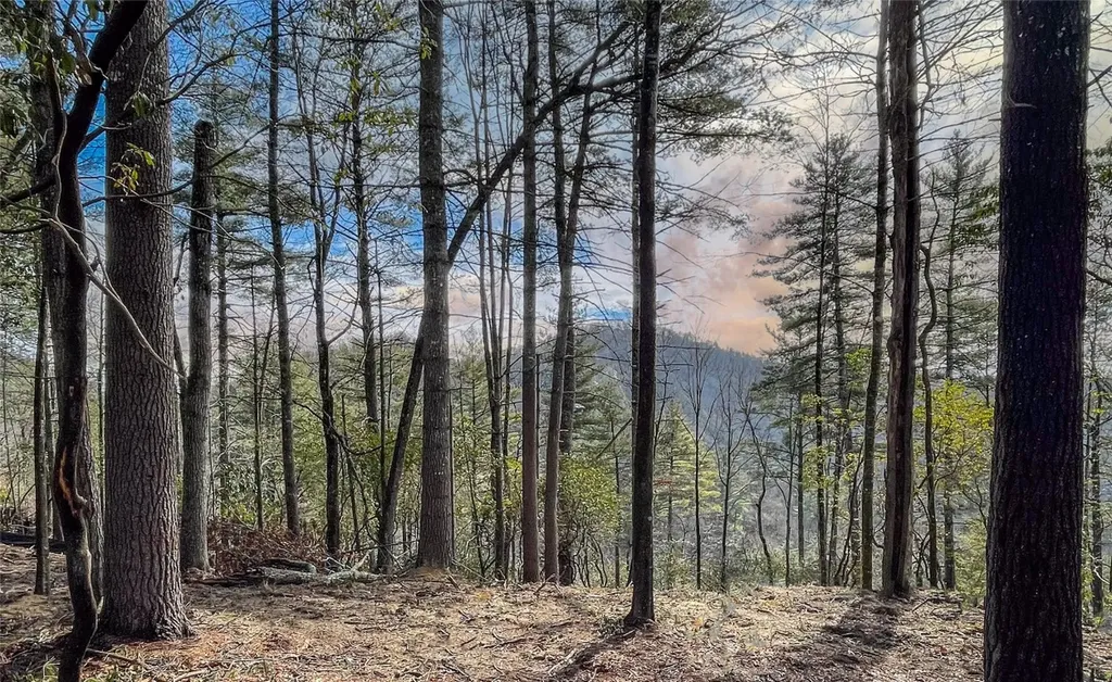 159 Saratay Falls Drive Cashiers NC 28717