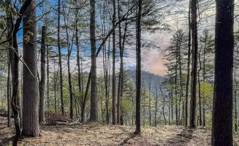 159 Saratay Falls Drive Cashiers NC 28717