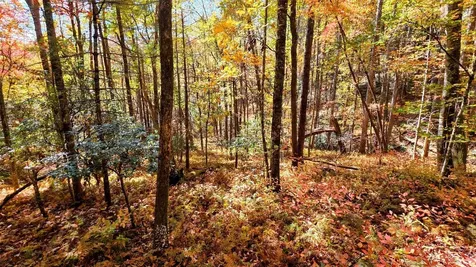 68 Elderberry Drive Sapphire NC 28774