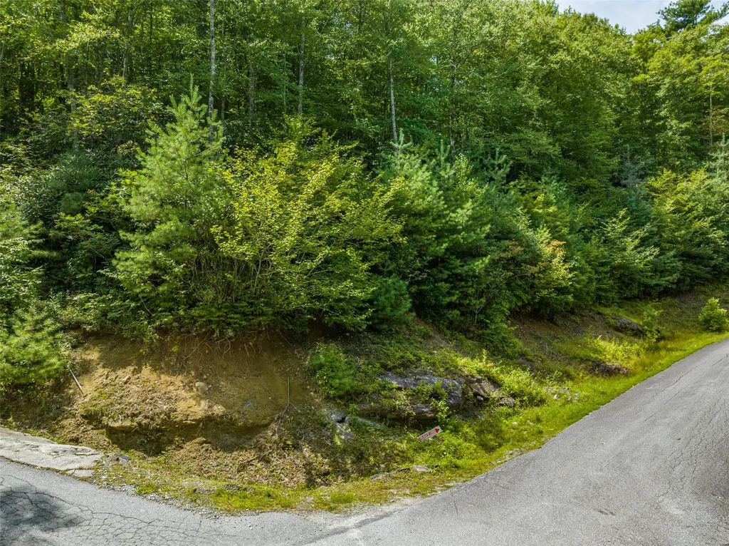 7 Eucalyptus Drive Glenville NC 28736