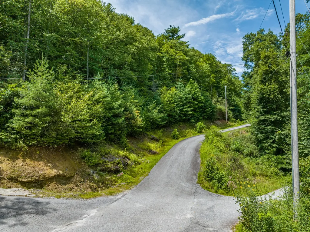 7 Eucalyptus Drive Glenville NC 28736