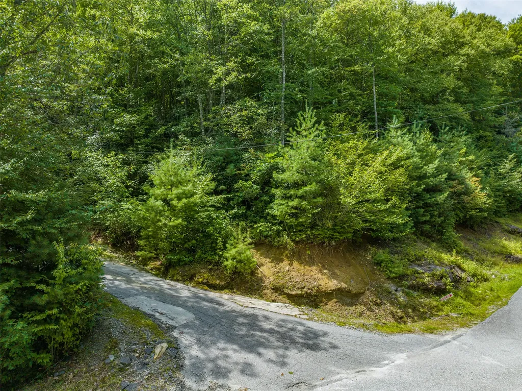 7 Eucalyptus Drive Glenville NC 28736