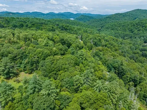 7 Eucalyptus Drive Glenville NC 28736