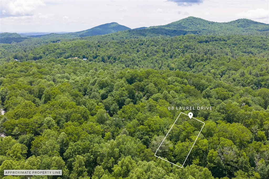 68 Laurel Drive Sapphire NC 28774