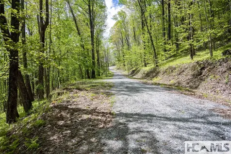 41 Ac Trussing Terrace Sapphire NC 28774