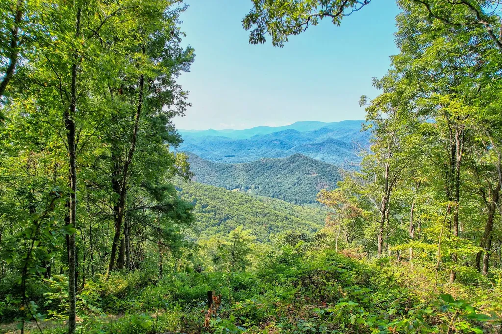 TBD Buck Knob Road Scaly Mountain NC 28775