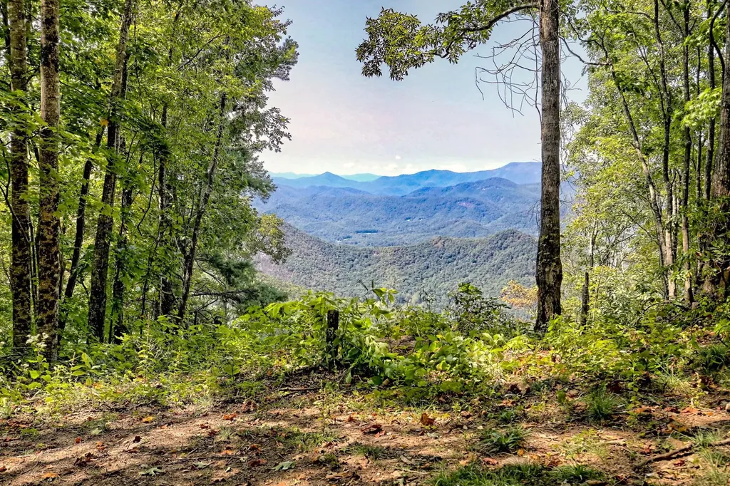 Tbd Buck Knob Road Scaly Mountain NC 28775