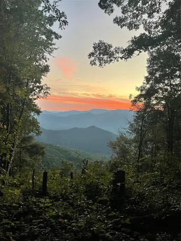 Tbd Buck Knob Road Scaly Mountain NC 28775